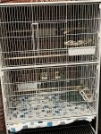 IMG_0368.jpeg