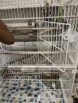IMG_0375.jpeg