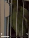 IMG_0426.jpeg