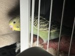IMG_0455.jpeg