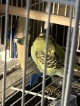 IMG_0464.jpeg