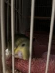 IMG_0435.jpeg